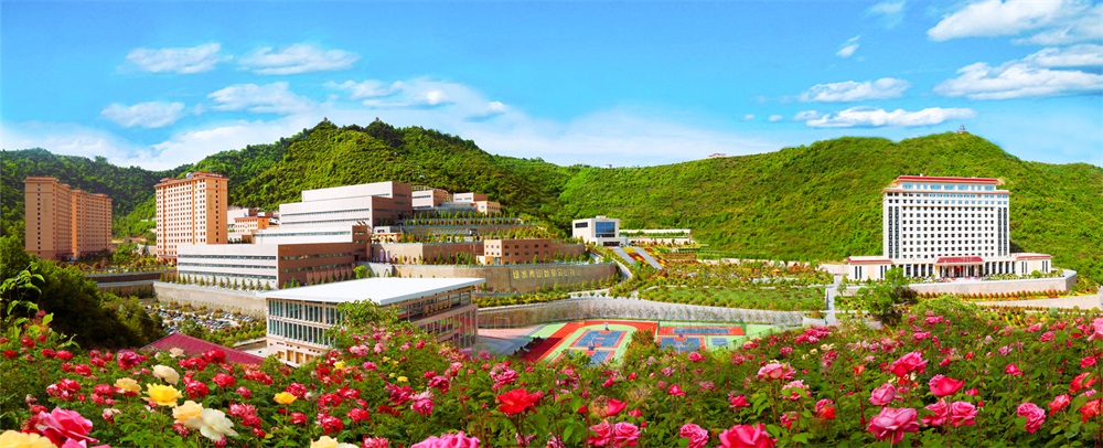 三季有花、四季常青的金徽股份.jpg