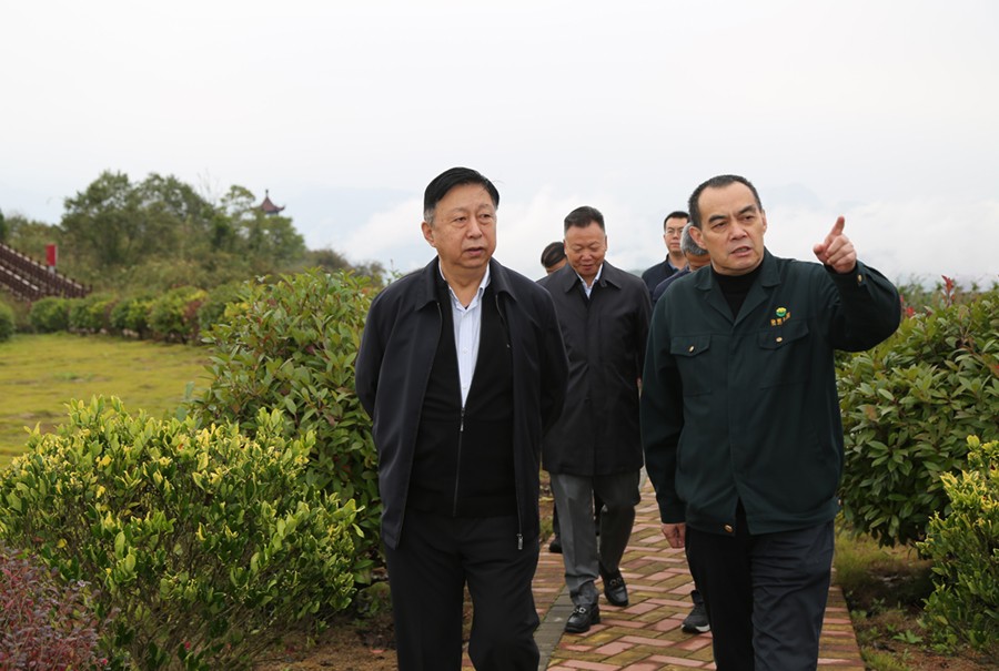 19-2021年10月，原國土資源部副部長汪民蒞臨公司調(diào)研。.jpg