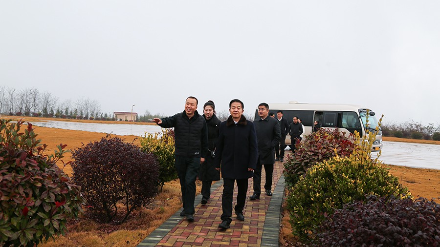45-2020年12月，省高級人民法院黨組成員、副院長任建國蒞臨金徽股份調(diào)研知識產(chǎn)權(quán)司法保護(hù)工作。.jpg